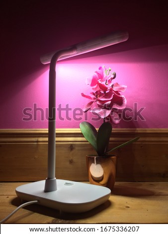 Bright white fluorescent light provides exposure for a faux potted plant. Highlights the concept that everything is fake and photoshopped in the photography world, and that editing is the new norm