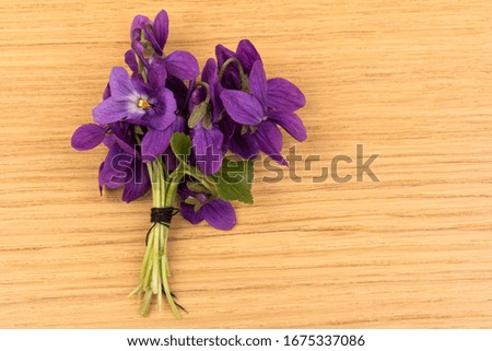 Beautiful bouquet of Viola Odorata flowers on wooden table. Place for text.  