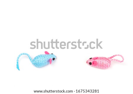 two blue and pink toy mice for a pet cat isolated on  white background, close-up