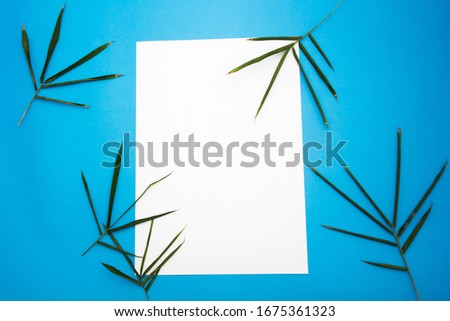 Blank paper with frames adorned and bamboo leaf and blue paper background.Concept to put text to advertise products. Banners, marketing.