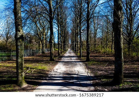 Beautiful neverending tree pathway in Lund Sweden. Spring is coming