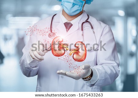 The concept of surgical treatment of the kidneys. Royalty-Free Stock Photo #1675433263