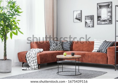 Big green plant, small round coffee table and corner sofa in elegant living room interior Royalty-Free Stock Photo #1675439116