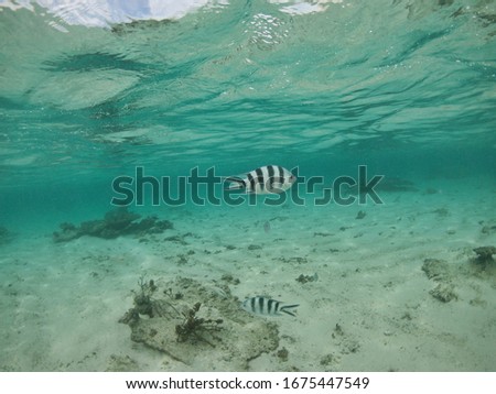 Passage for swimmers and snorkelers through the coral reef of tropical Mauritius island