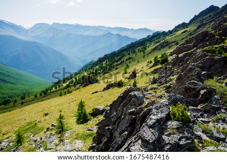 Green mountain scenery with vivid green mountainside with conifer forest and crags. Coniferous trees and rocks on big hillside. Scenic alpine landscape. Big stones on steep slope with rich vegetations Royalty-Free Stock Photo #1675487416