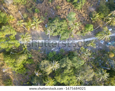 Canopy of the tropical island Phi Phi Leh 