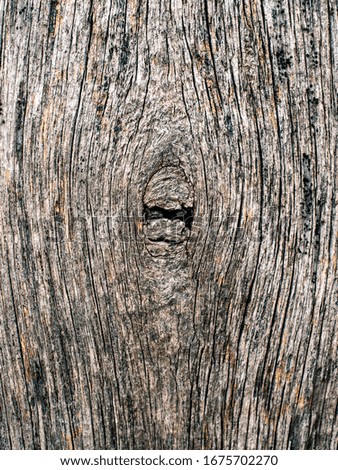 Closeup photo of wood texture