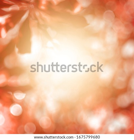 Red leaf blurred and blur natural abstract. Effect sunlight  soft bright shiny style  bokeh circle yellow and 
orange blurry morning . For wallpaper backdrop and background.