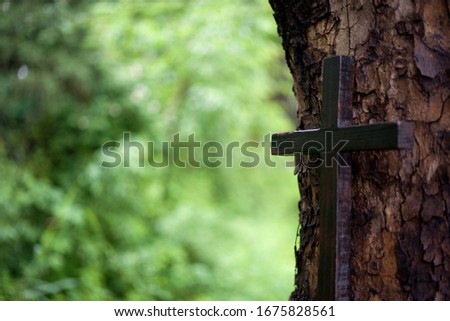 This is a picture of a cross in nature.
