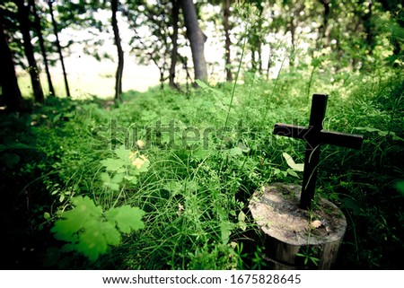 This is a picture of a cross in nature.