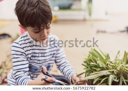 Little boy pruning flower pot at home as a gardener in his garen