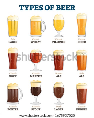 Types of beer vector illustration. Alcoholic beverage menu collection set. Labeled visualization with various glasses styles for lager, pilsener, ale, dunkel and porter drinks. Color comparison poster Royalty-Free Stock Photo #1675937020