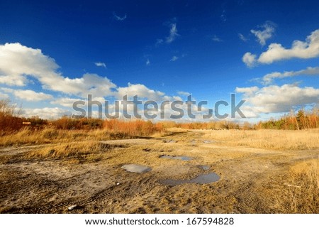Autumn landscape against blue sky