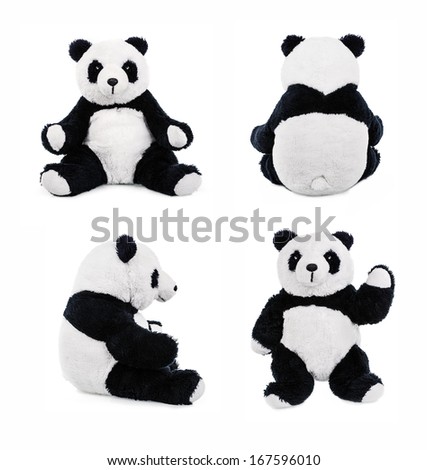 Teddy panda bear. Stuffed animal posing.