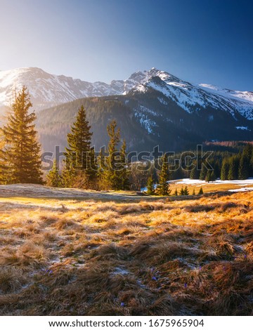 Fresh sunny morning in the High Tatras mountains in spring. Location place Kalatowki alpine valley, Zakopane, Poland. Breathtaking springtime wallpaper. Photo of nature. Discover the beauty of earth.