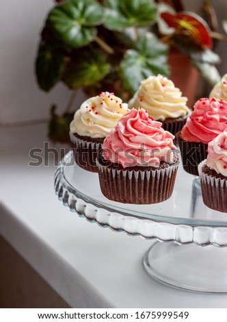 chocolate muffins with a hat of pink and white cream.