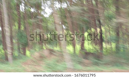 motion blurred picture of trees with clouds on the background
