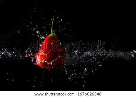 The water is splashed rose apple  on the  until the water is distributed beautifully on a black background.