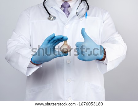 doctor in a white medical coat and blue rubber gloves holds a fresh head of garlic, prevention against viral diseases, traditional medicine