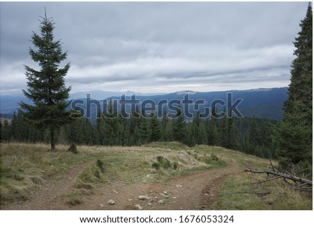 tourism, hiking trail, fresh air, trekking, scene, carpathian mountains, picture, picture frame, s, mountains