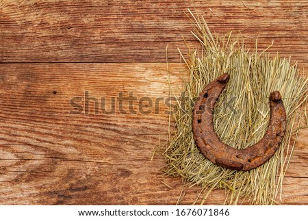 Cast iron metal horse horseshoe on hay. Good luck symbol, St.Patrick's Day concept. Old wooden background, horse accessories, top view