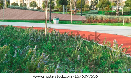Red walking path in public park. Green grass near the road. Daily walking sport concept.