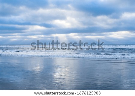 beautiful day, landscape on the beach