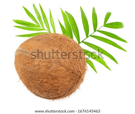 Coconut with green leaves isolated on white background. top view