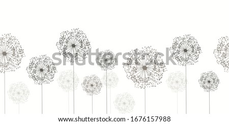 Seamless dandelion pattern, horizontal background with hand drawn plants and seeds. Vector illustration for banner, card, kitchen design