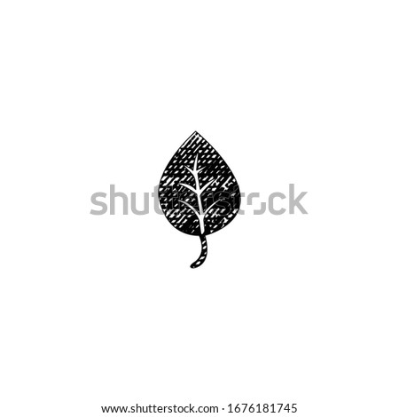 sketch of leaf cartoon design