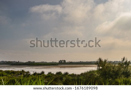 nature scenarios in Saintes-Maries-de-la-mer, Camargues, France