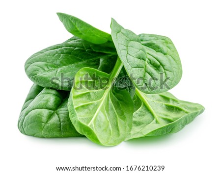 Pile of fresh green baby spinach leaves isolated  on white background. Close up Royalty-Free Stock Photo #1676210239