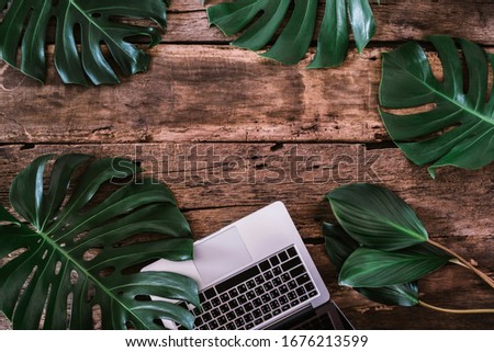 Flat lay creative frame of tropical nature leaves Monstera on rustic wood grunge background with retro computer and Headphones, tropical jungle vacation and travel concepts. 