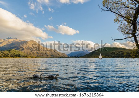 Lakeside of Lake Hayes located in the Wakatipu Basin in Central Otago, South Island in New Zealand