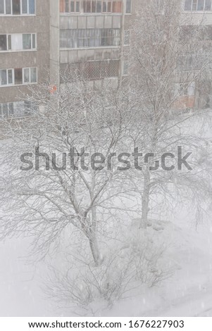 view from the window in winter on the trees and the road, all white in the snow
