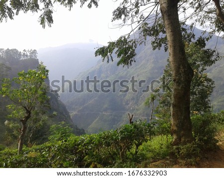 This is a picture taken on the way to little Adam's Peak (Punchi Sri Pada) Ella, Sri Lanka. Royalty-Free Stock Photo #1676332903