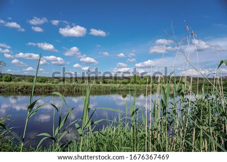 Beautiful spring river in the flowing nature. Colorful landscape in the morning and evening. Travel to deserted places of the world. Stock photo for design