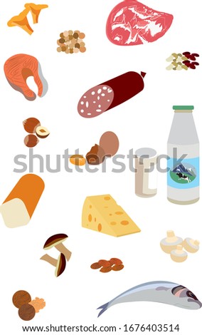  vector illustration of a set of protein foods, dairy products, meat, fish, legumes, mushrooms, eggs, animal products, nuts