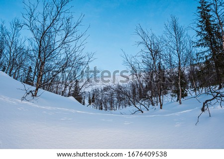 Snowy Mountains. Snow, Mountains, Valley, Landscape, Winter, Spring, Panorama