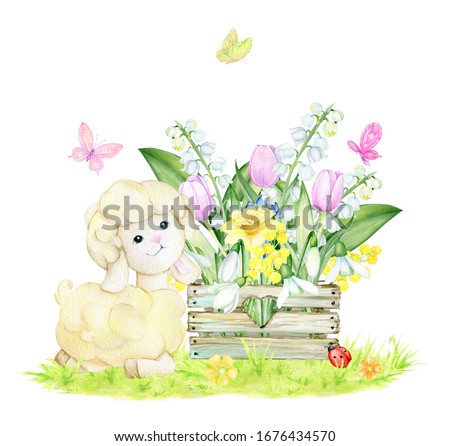 Sheep, wooden box, snowdrops, white lilies of the valley, daffodils, tulips, butterflies. Watercolor concept on an isolated background. Spring composition.