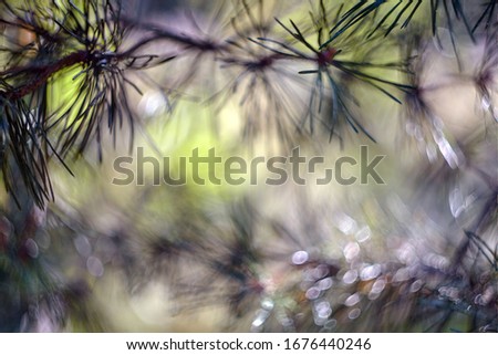 Bright vintage beautiful natural bokeh.
A series of colorful pictures.