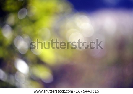 Bright vintage beautiful natural bokeh.
A series of colorful pictures.