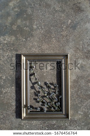 Frame for a picture with willow branches on the background of a concrete old gray wall for Palm Sunday