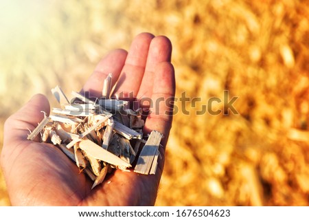 Wooden wood chips in hand biomass fuel made by nature? Renewable source of energy woodchips business industry. Royalty-Free Stock Photo #1676504623