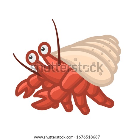 Hermit crab icon. Cartoon isolated image on a white background. Vector.
