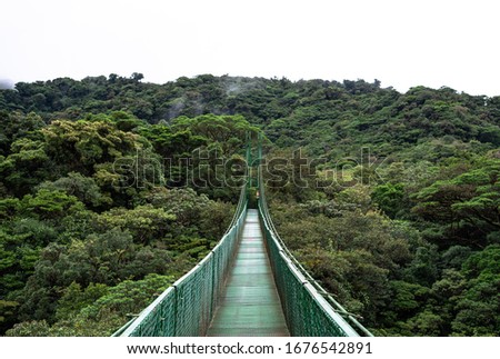 Monteverde Cloud Forest Costa Rica cloudy jungle empty hanging suspension chain bridge over and through the moist wet Rainforest  Royalty-Free Stock Photo #1676542891