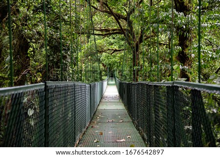 Monteverde Cloud Forest Costa Rica cloudy jungle empty hanging suspension chain bridge over and through the moist wet Rainforest  Royalty-Free Stock Photo #1676542897