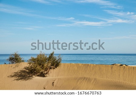 beach and sea, photo picture digital image , in maspalomas, gran canaia