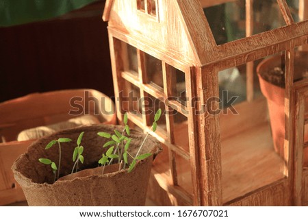 Miniature wooden greenhouse, home decor