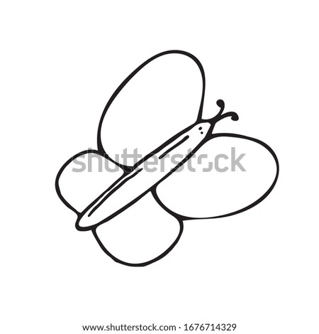 hand-drawn vector illustration, element without background, butterfly
